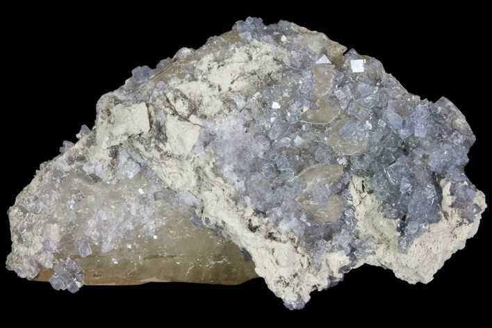 Purple/Gray Fluorite Cluster - Marblehead Quarry Ohio #81193